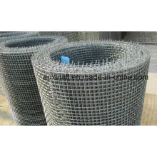 High Quality Hot Dipped or Stainless Steel Crimped Wire Cloth (XA-CWM06)